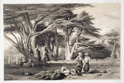 The Cedars of Lebanon by Prosper Georges Antoine Marilhat